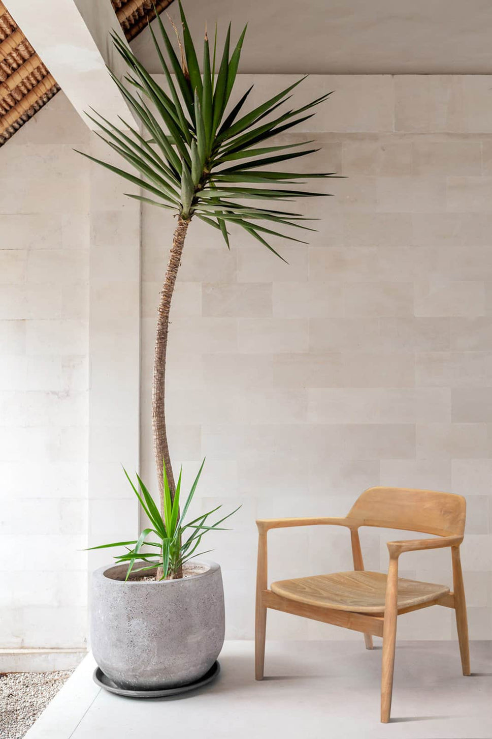 Teak Patio Deep Seating Chair – Lara