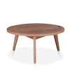 Danish Modern Teak Round Patio Coffee Table  Rohm