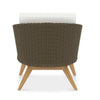 teak wicker club chair back view